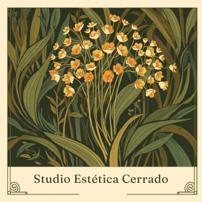 Studio Estética Cerrado