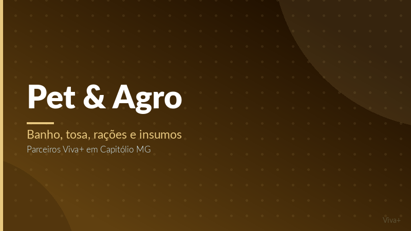 15% em banho e tosa